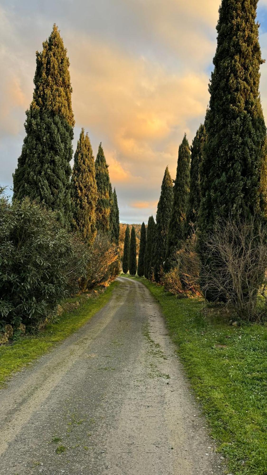 Agriturismo Soiano Famiglia Rolfini Montaione Buitenkant foto