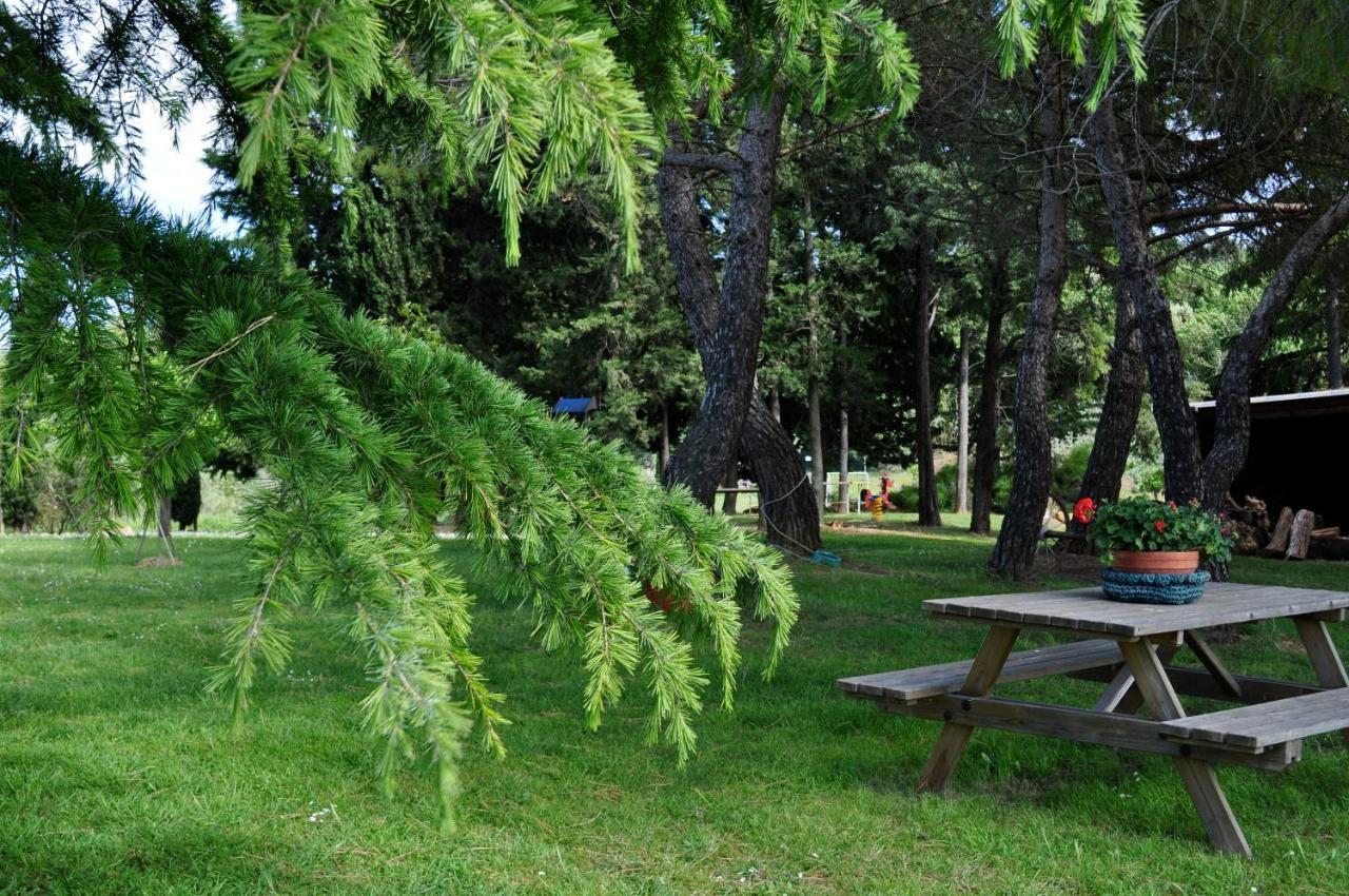 Agriturismo Soiano Famiglia Rolfini Montaione Buitenkant foto