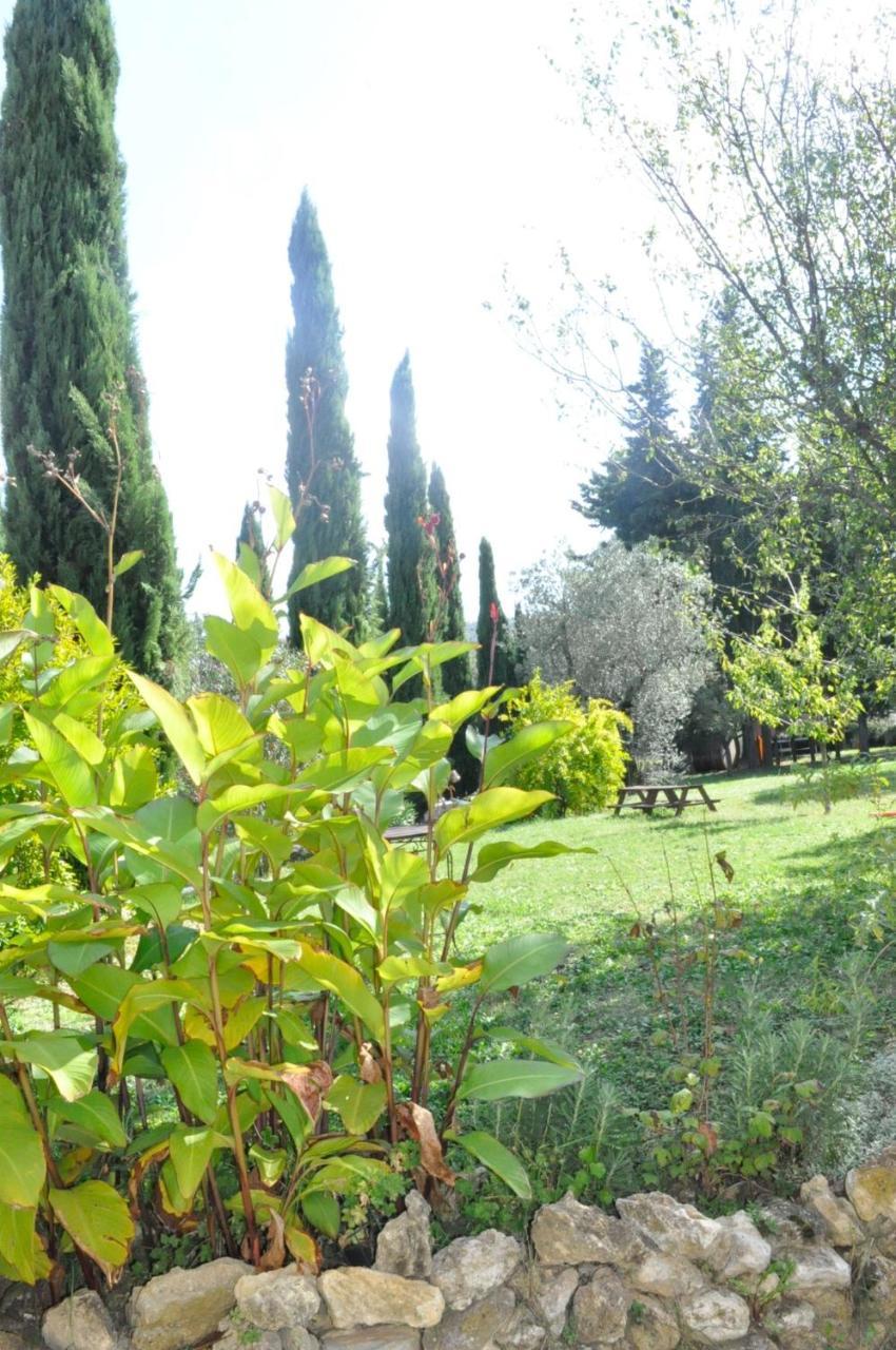 Agriturismo Soiano Famiglia Rolfini Montaione Buitenkant foto